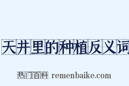 天井里的种植反义词是什么意思的图片